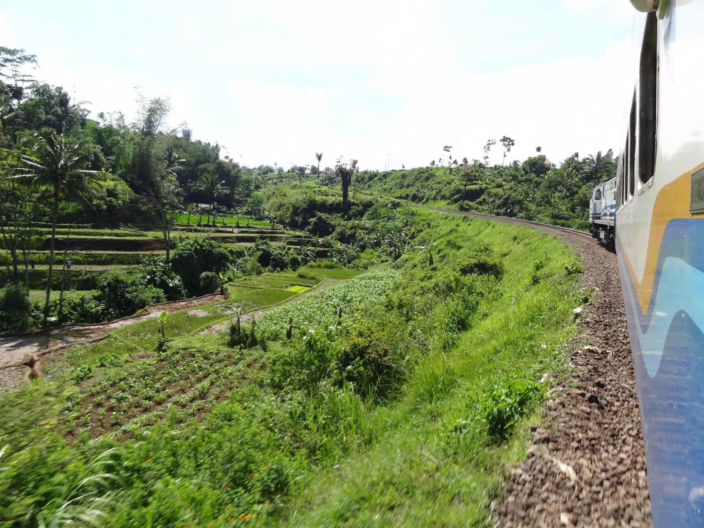 View from train door in Central Java, Indonesia View from train door in Central Java, Indonesia