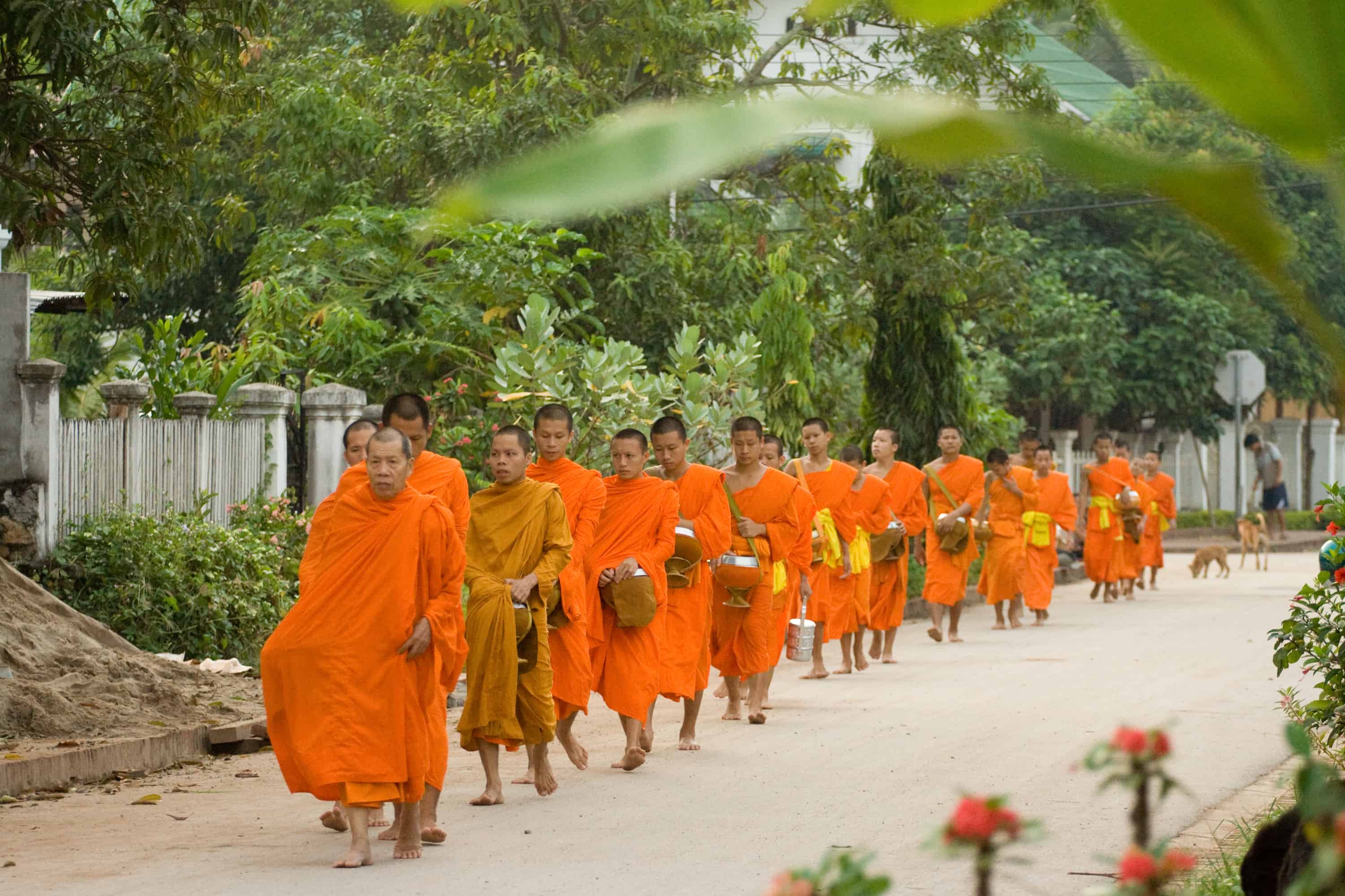 Monks Monks in Chiang Mai early in the morning