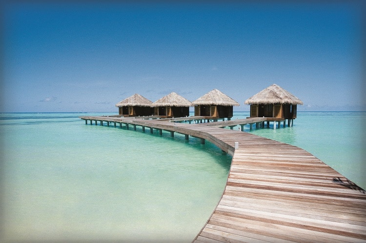 LM_Spa_5 (1)