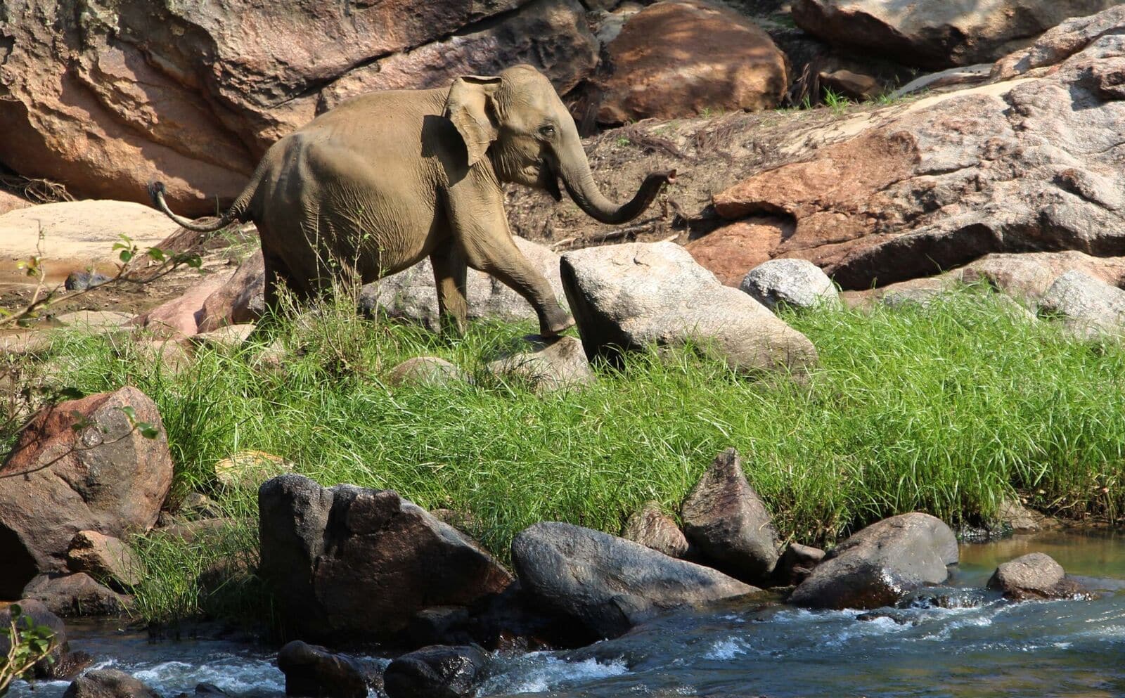 Gal Oya National Park, Sri Lanka Gal Oya National Park
