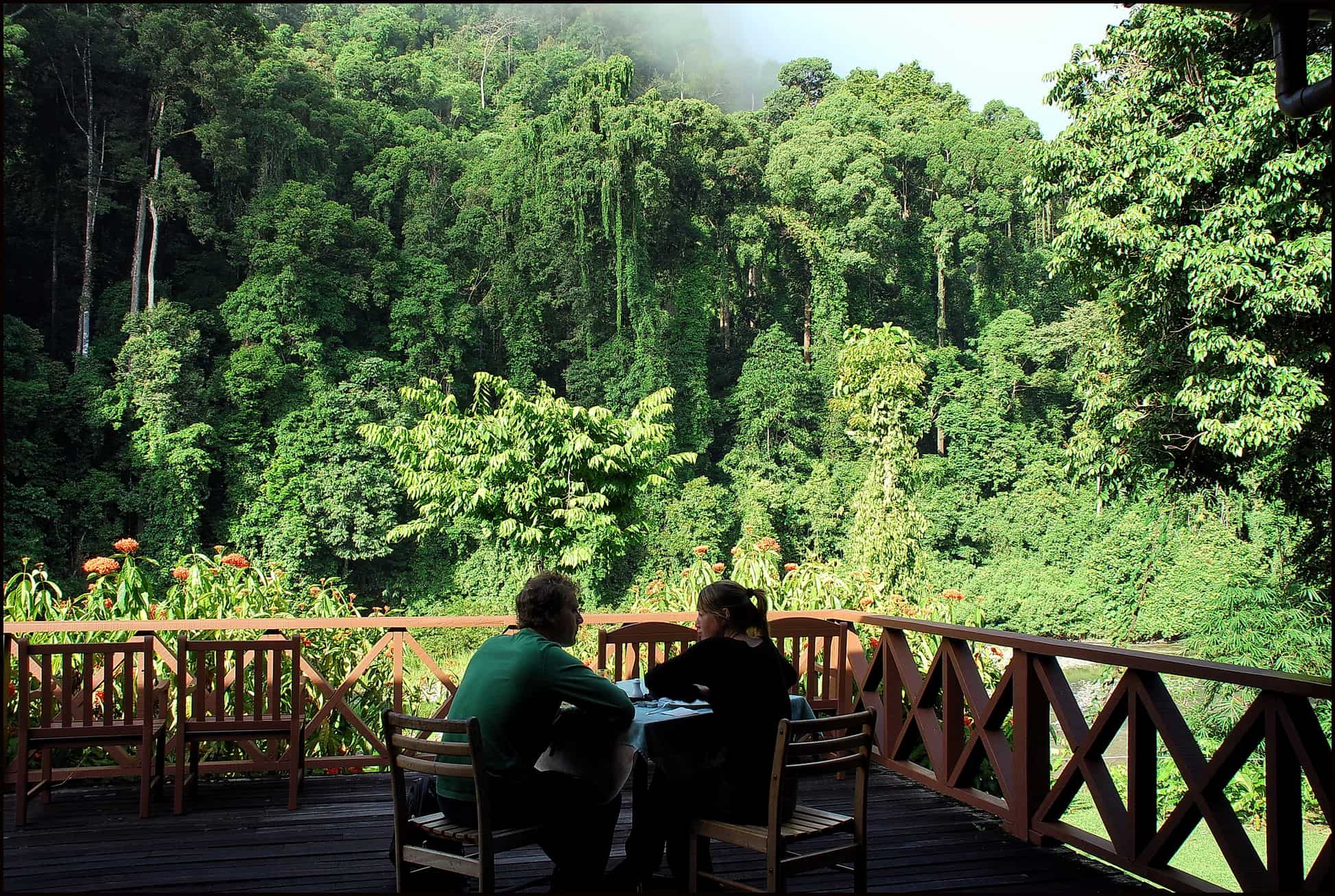 Danum-Valley-Borneo-Rainforest-Resort-terrace-1-resize View from a terrace in Borneo Rainforest Resort in Danum Valley