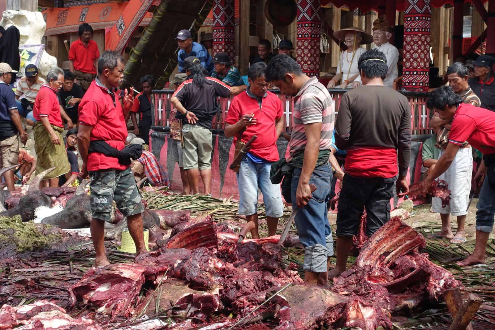 DSC08746_preview slaughtering of buffaloes for the bloody funeral ritual in Tana Toraja