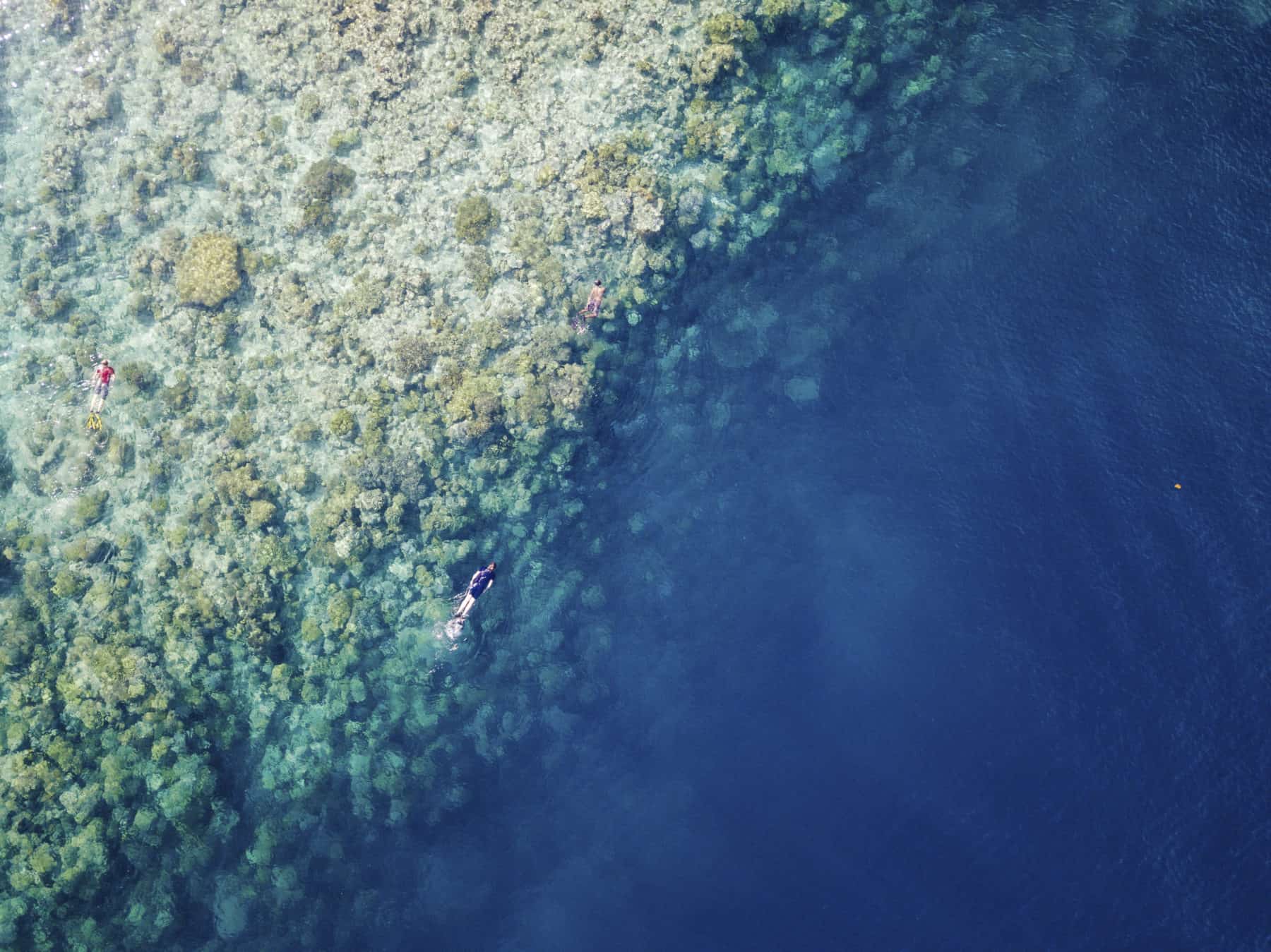 Snorkelling Halmahera