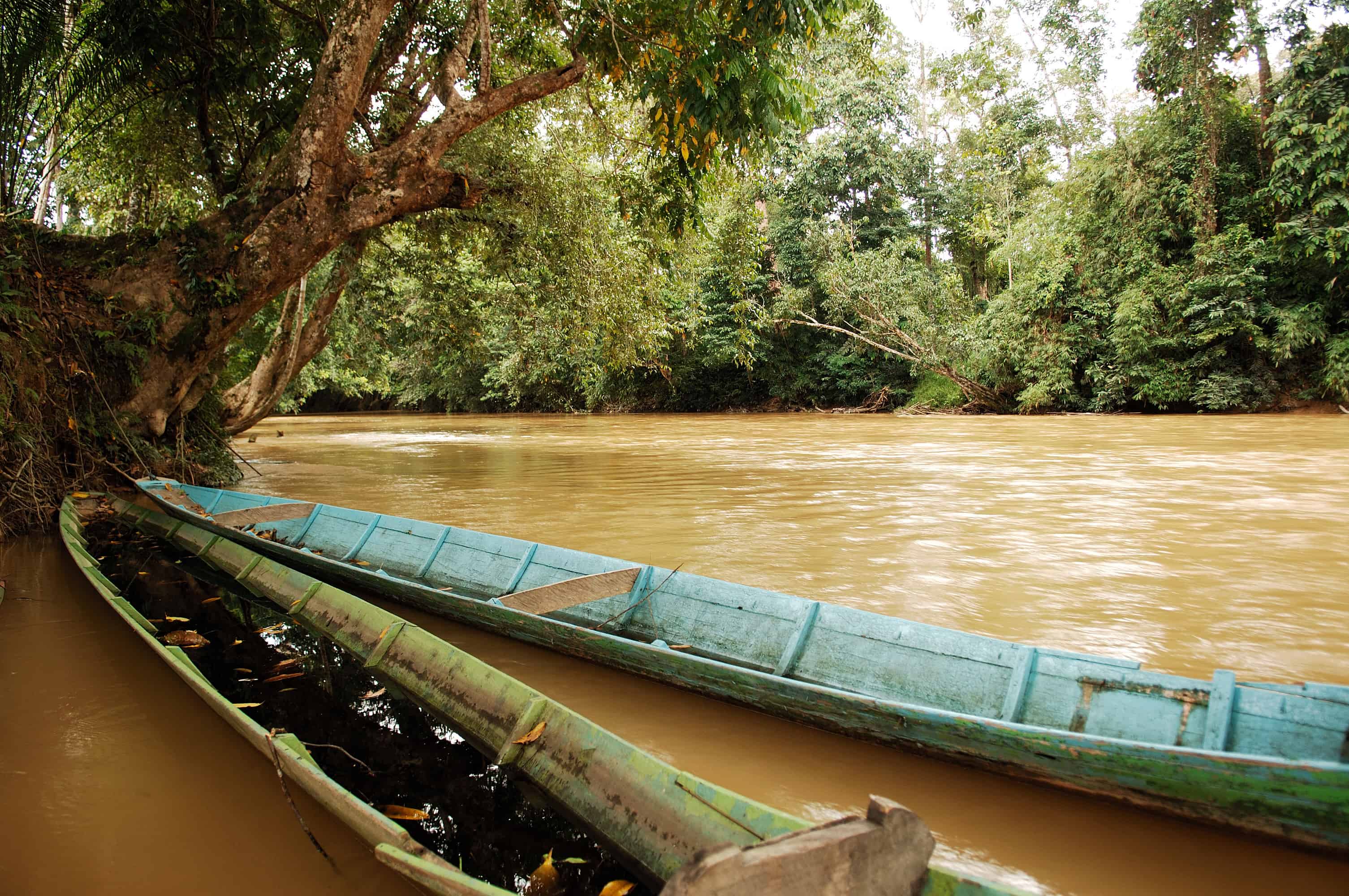 malaysia, borneo, sarawak: boat in the jungle Malaysia, Borneo, Sarawak: Boat in the Jungle