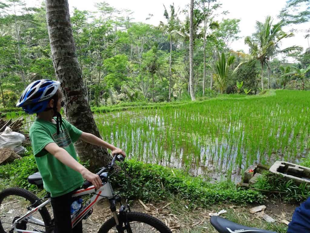 Bayly Indonesia (cycling nr Ubud)