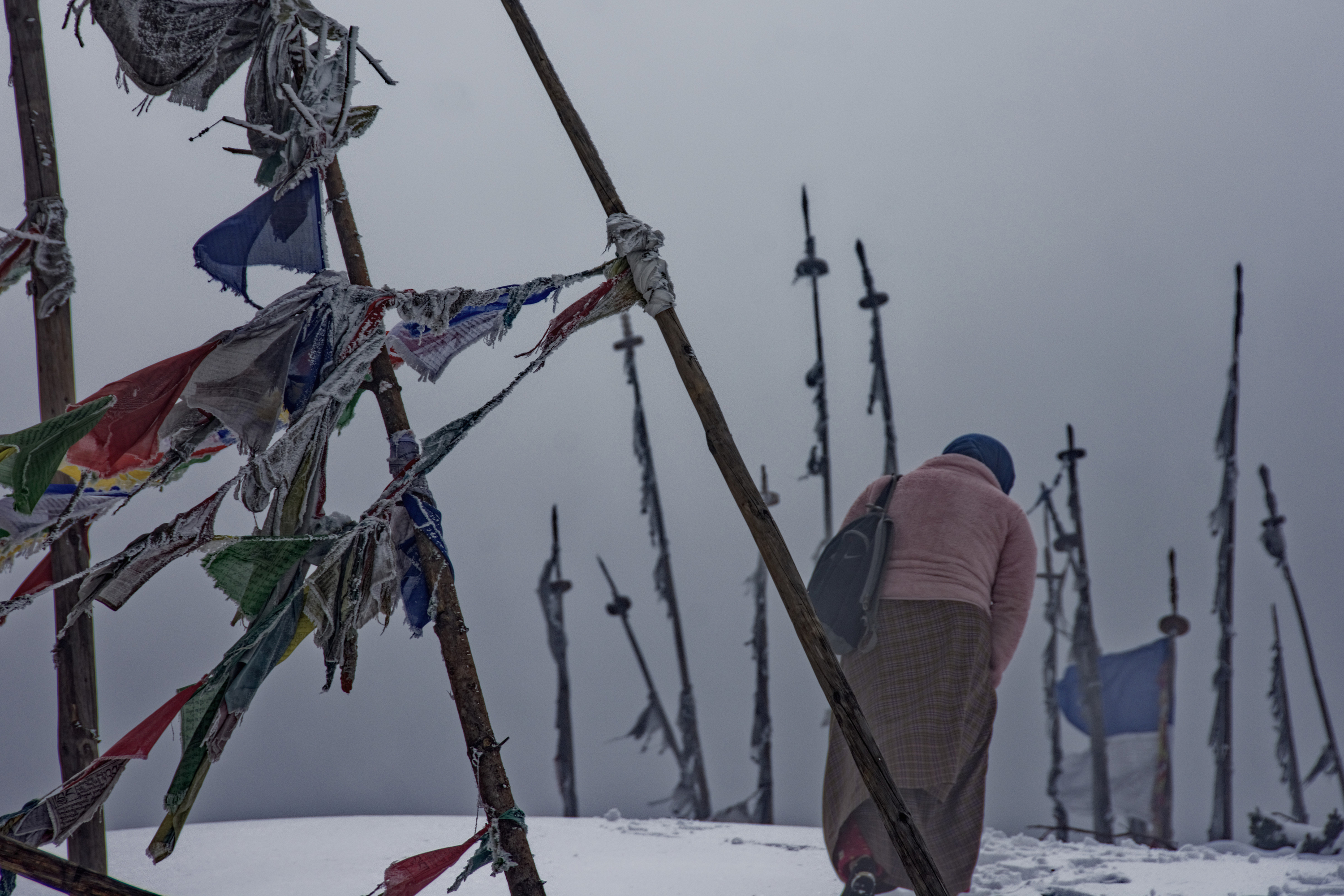 Sedgwick Snowy mountains and prayer flags Snowy mountains and prayer flags in Bhutan