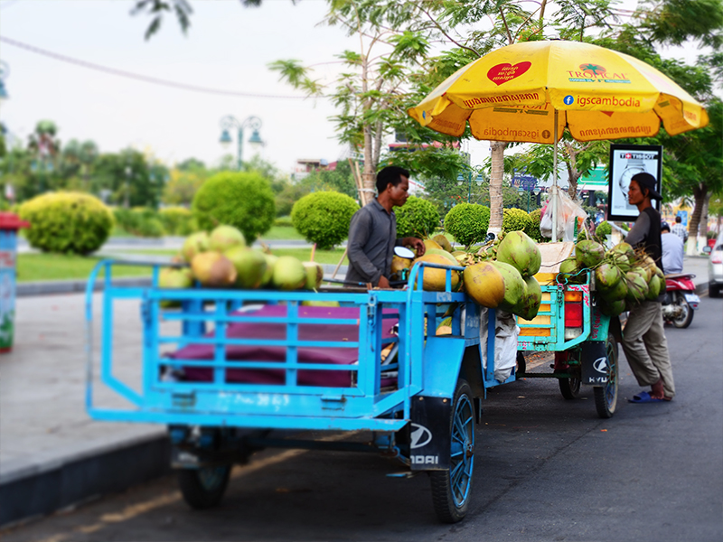 CambodiaFAM6 Market in Phnom Penh selling fresh fruit