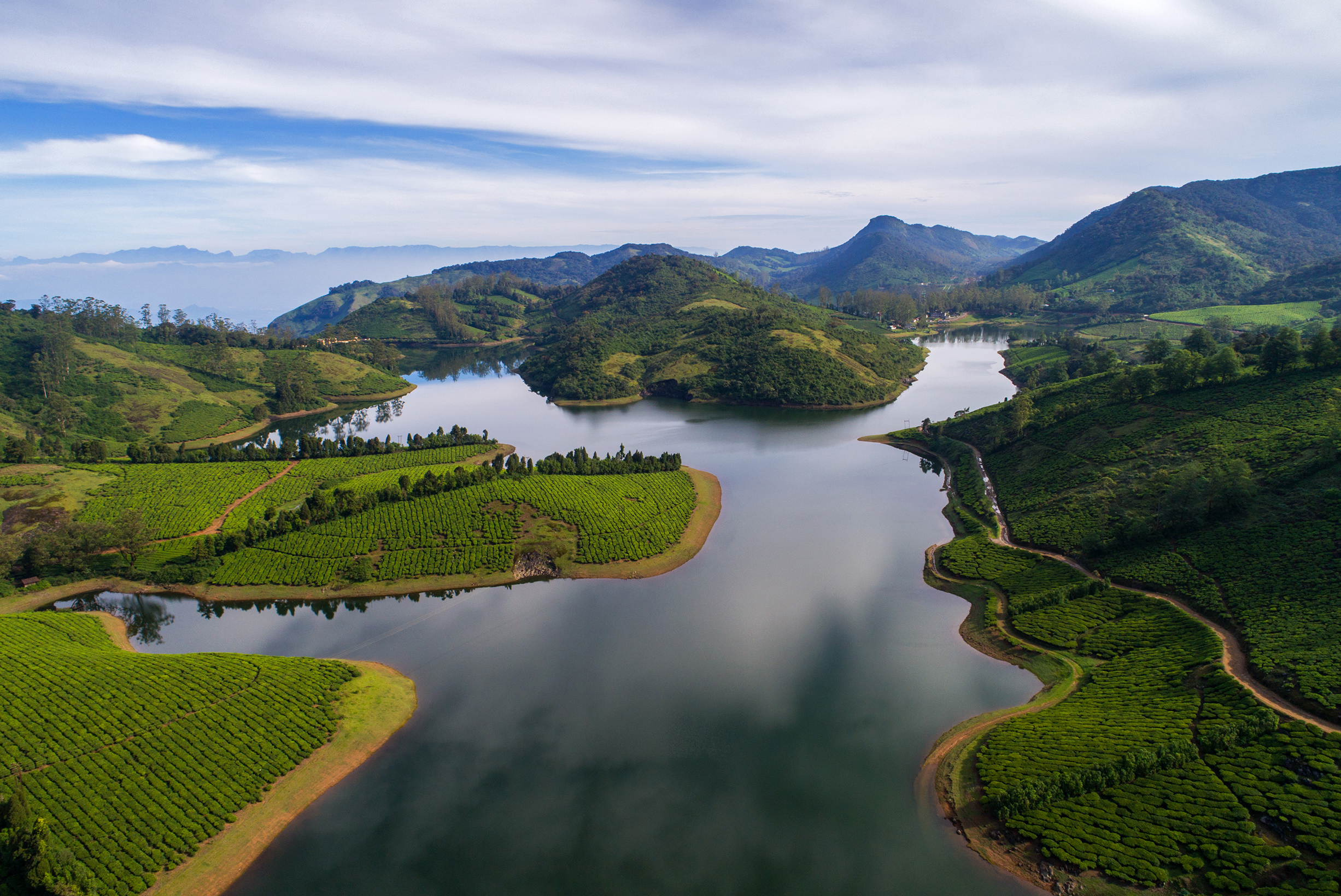 Damon - Meghamalai tea plantation in Kerala blog resize Why you need to visit Kerala with your family