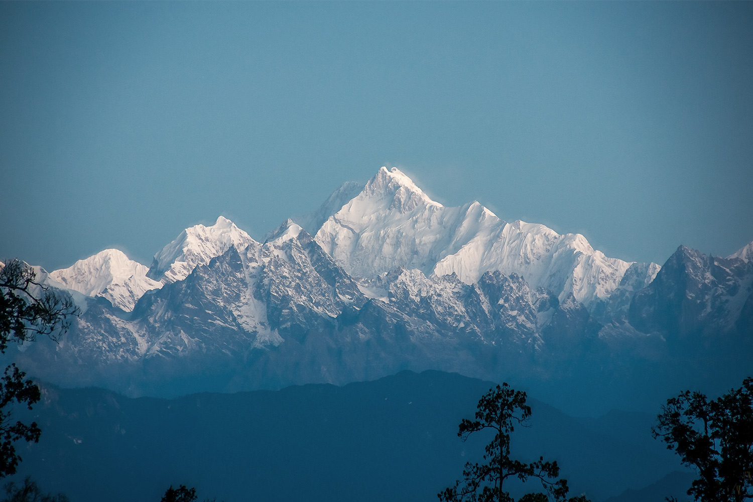 View of the Himalayas in India View of the Himalayas in India with trees in the foreground and blue sky in the background