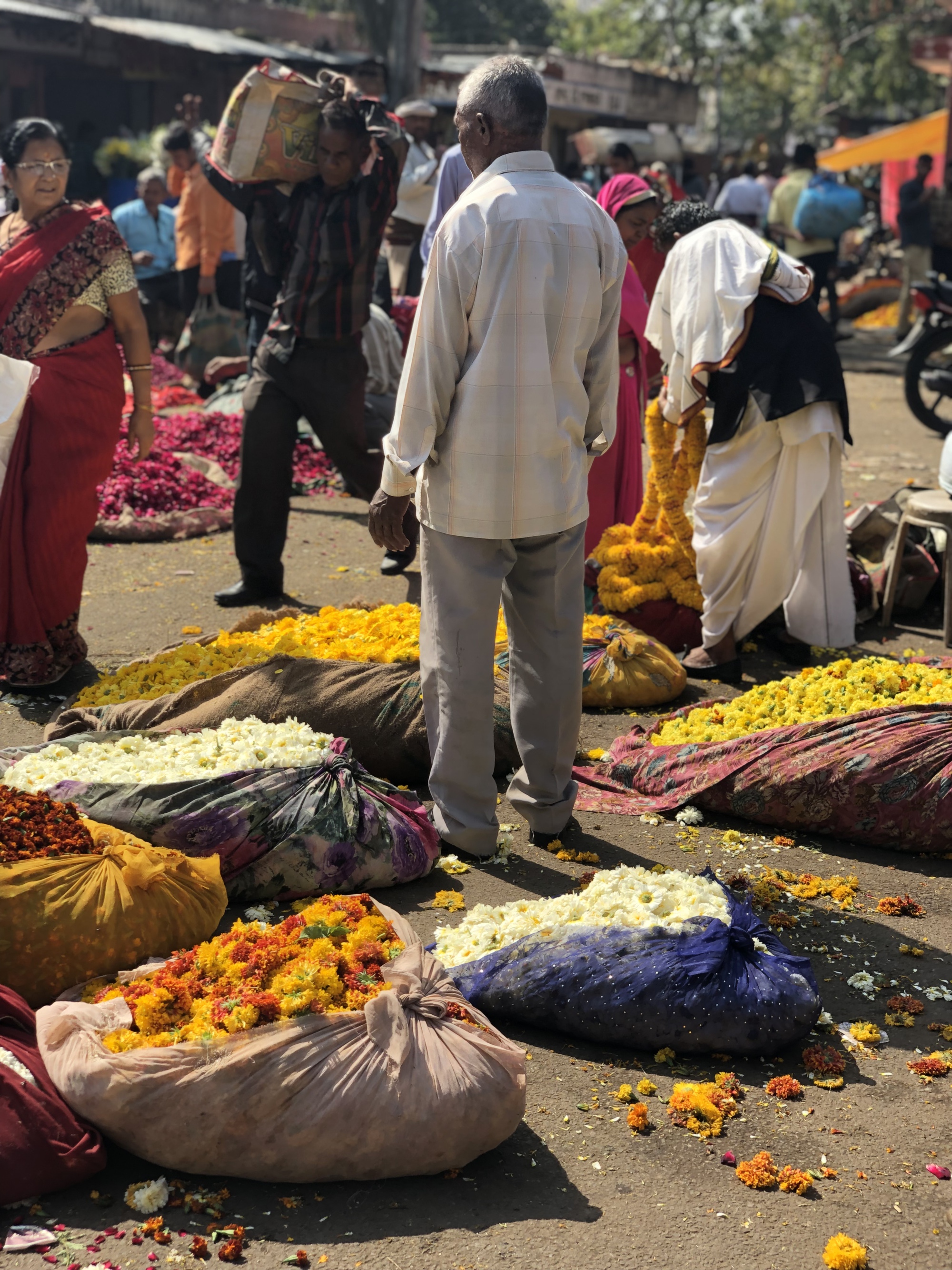 Man in Jaipur with marigold flowers for Holi Festival Man in Jaipur flower market with marigolds for Holi Festival