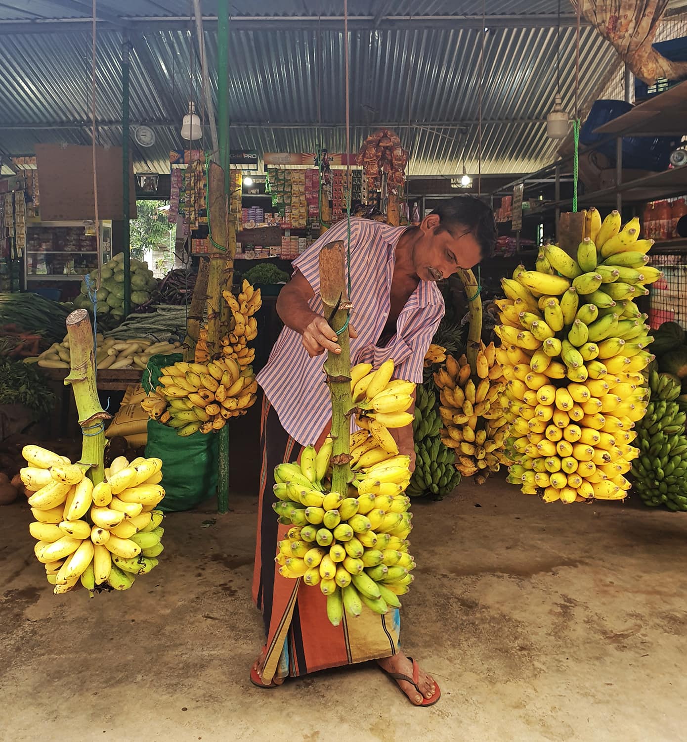 Bananas Banana market trader in Sri Lanka