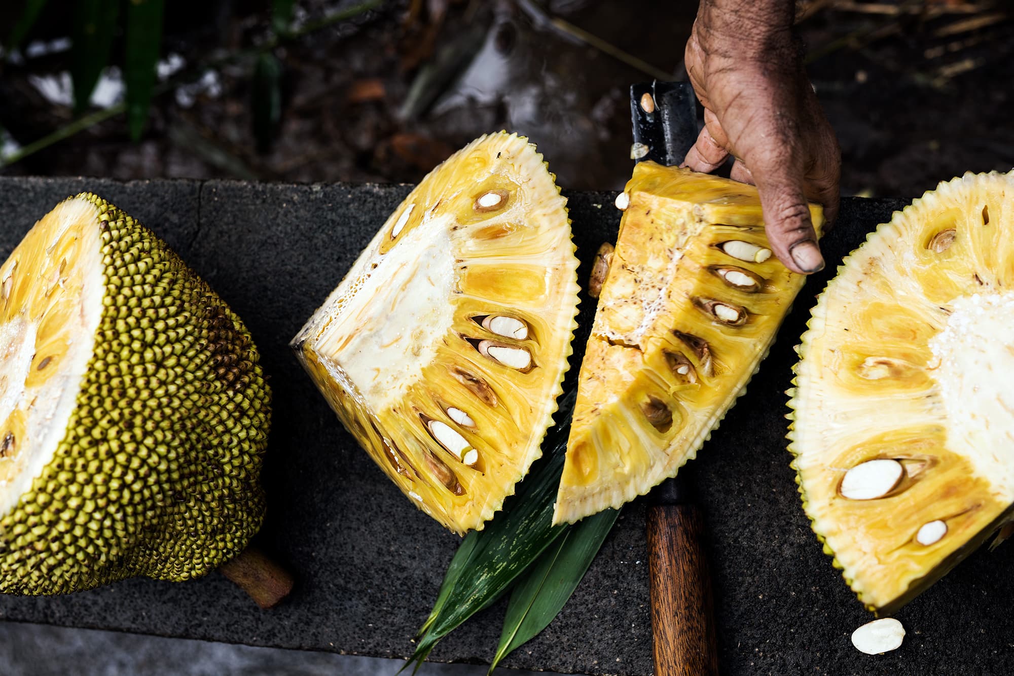 Jackfruit Jackfruits cut open in Sri Lanka