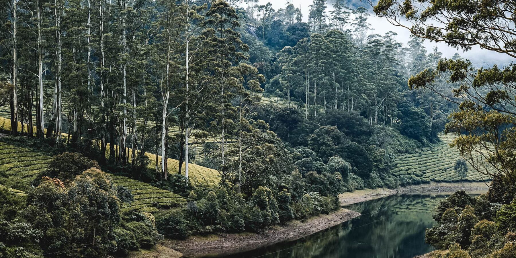 Meghamalai Damon Kerala India Kerala is one of the most beautiful places to visit in India