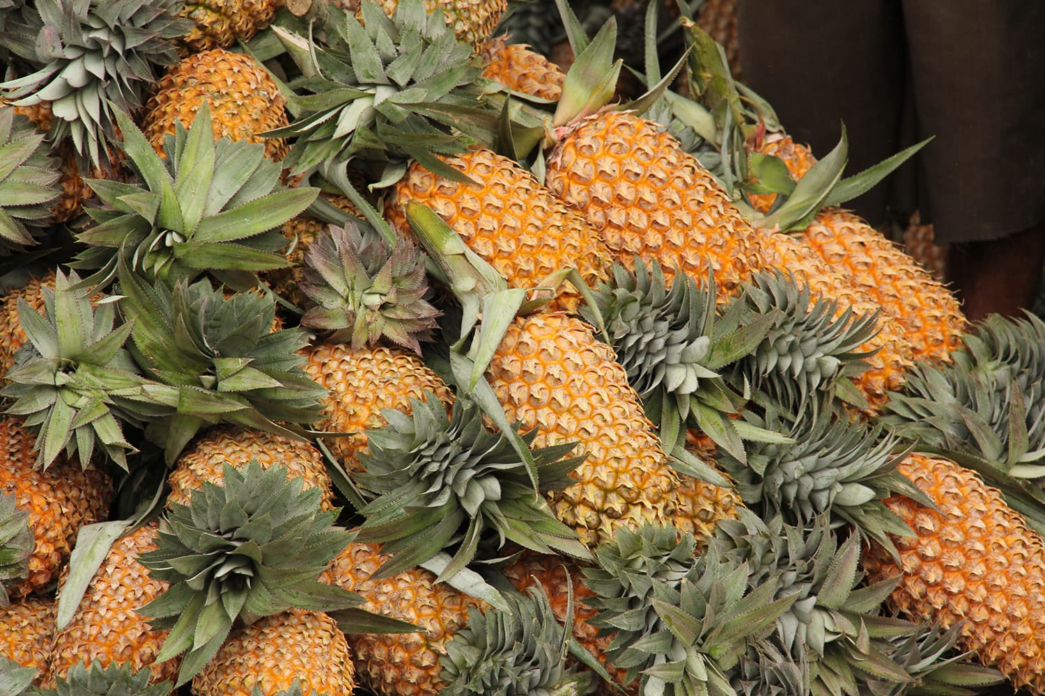 Pineapple Sri Lanka Pineapples stacked up in a market in Sri Lanka