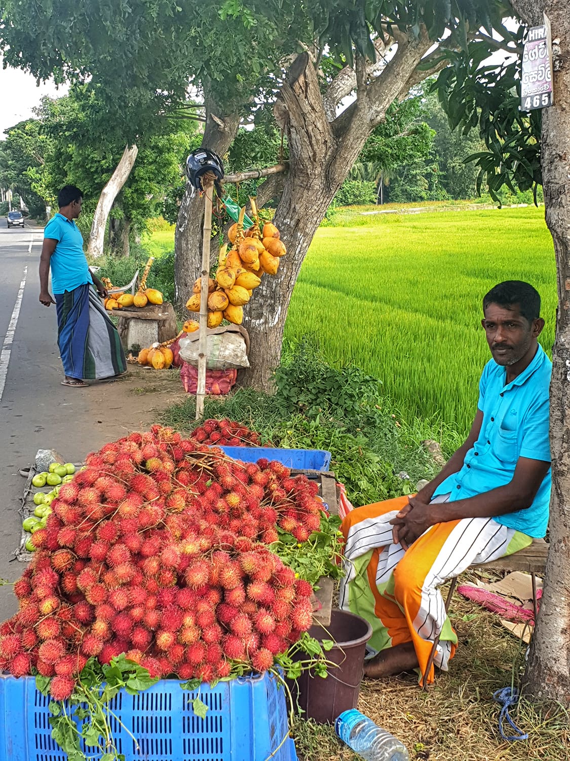 Rambutan Roadside traders selling Rambutan in Sri Lanka