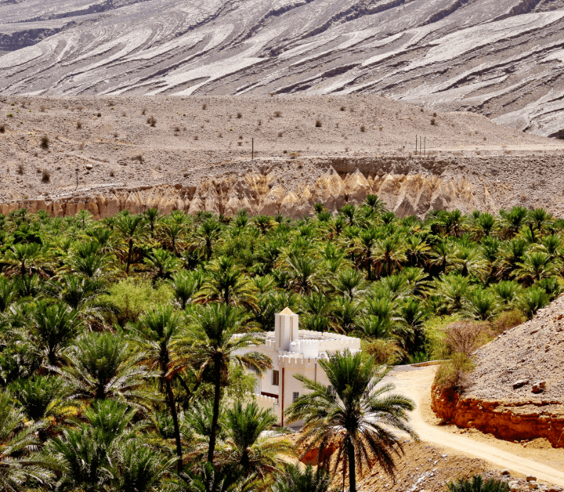 Oman landscapes Trees and green landscape in the forefront and rugged desert in the background