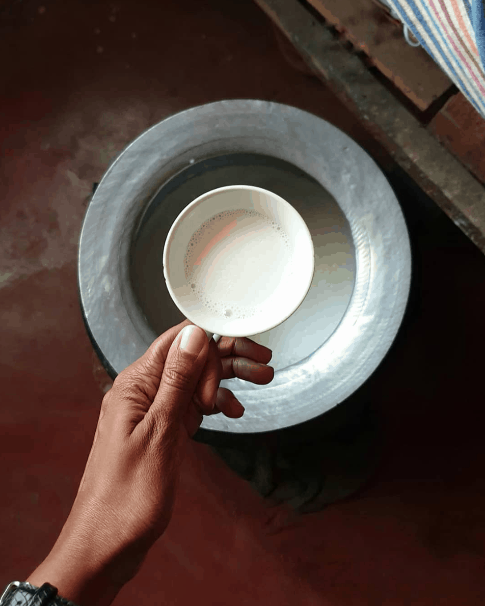 Buffalo milk for Sri Lankan curd food A bowl of Buffalo milk for Sri Lankan curd
