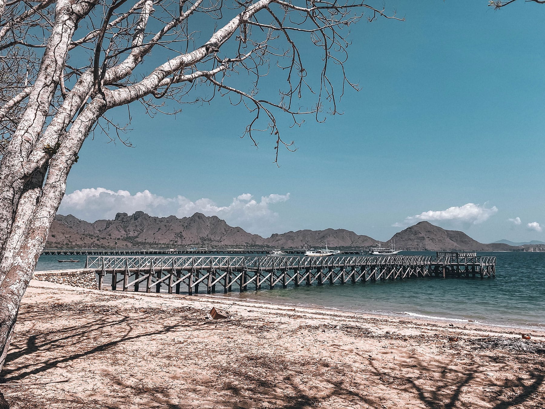Komodo-Island Komodo Island in Indonesia