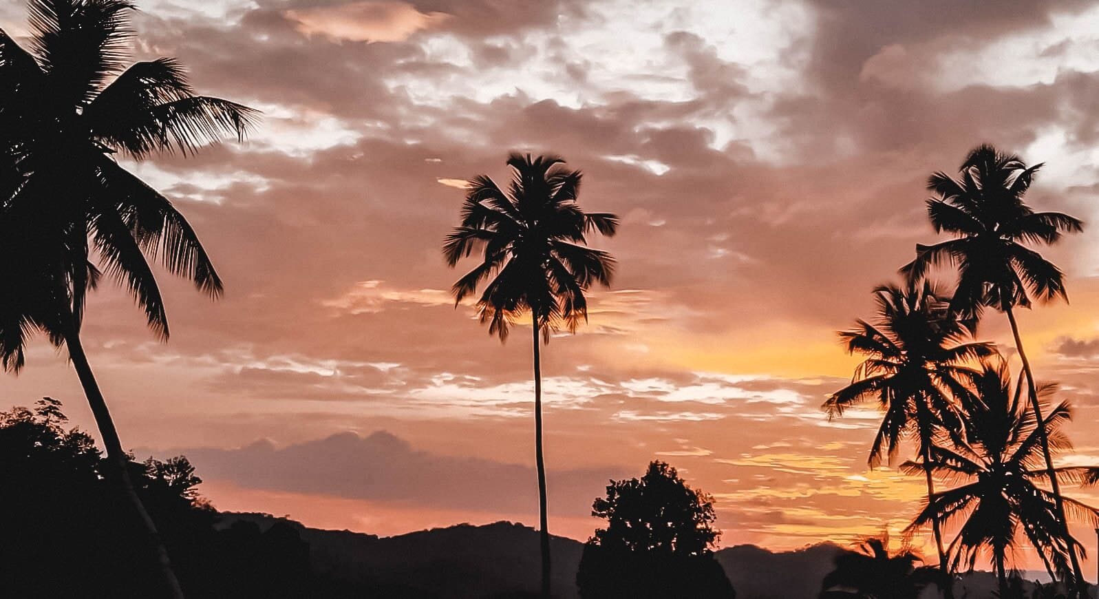 Sri-Lanka-Sunset Palm trees at sunset in Sri Lanka