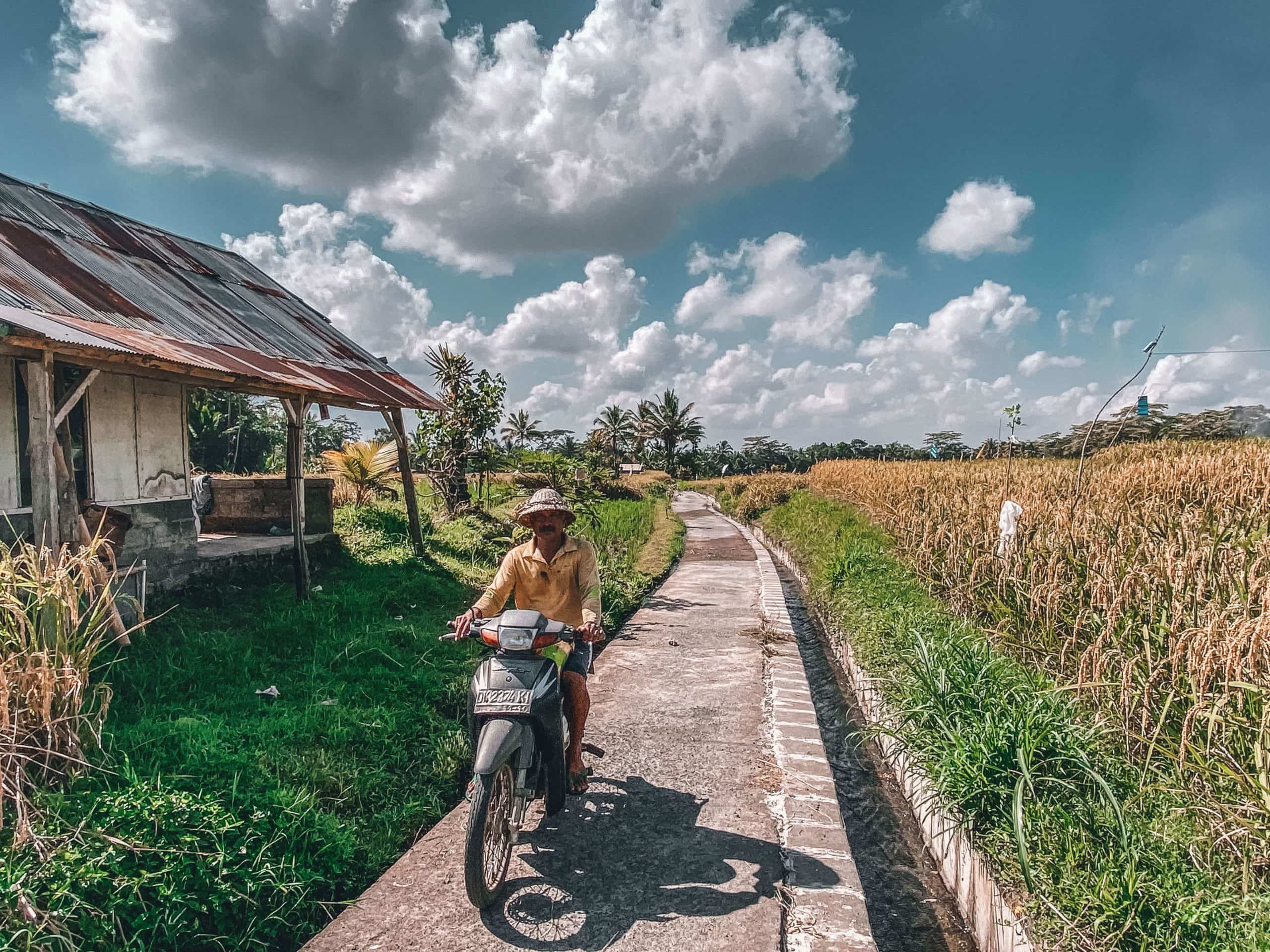 Bali Indonesia Robin Mckelvie Village life in Bali