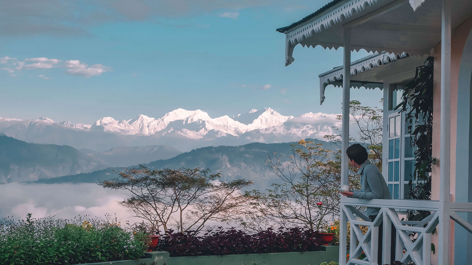 Bengal Husna story View of Kangchenjunga from Glenburn Tea Estate
