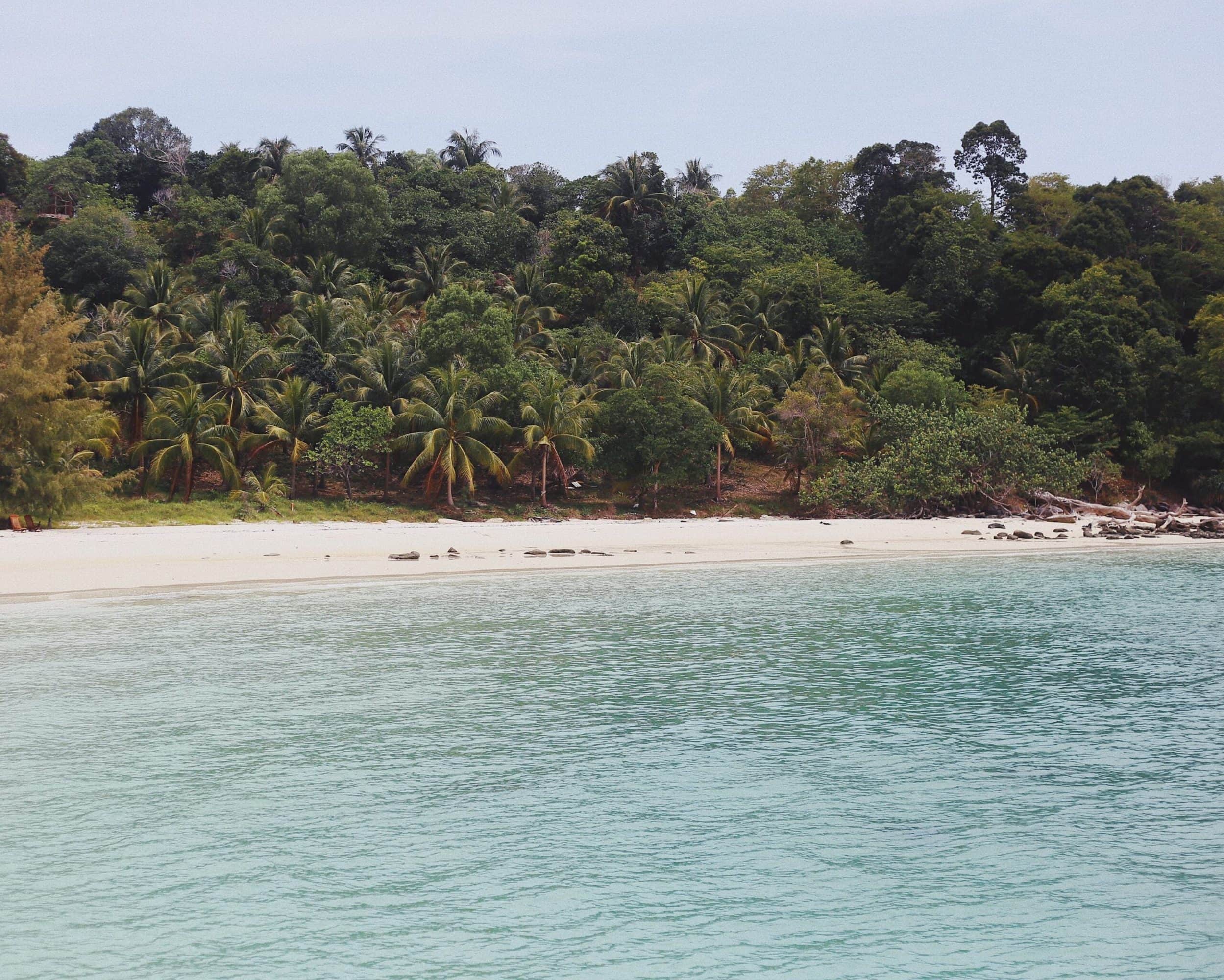 Taylor Simpson Unsplash Koh Rong The shores of Koh Rong Island with jungle backdrop