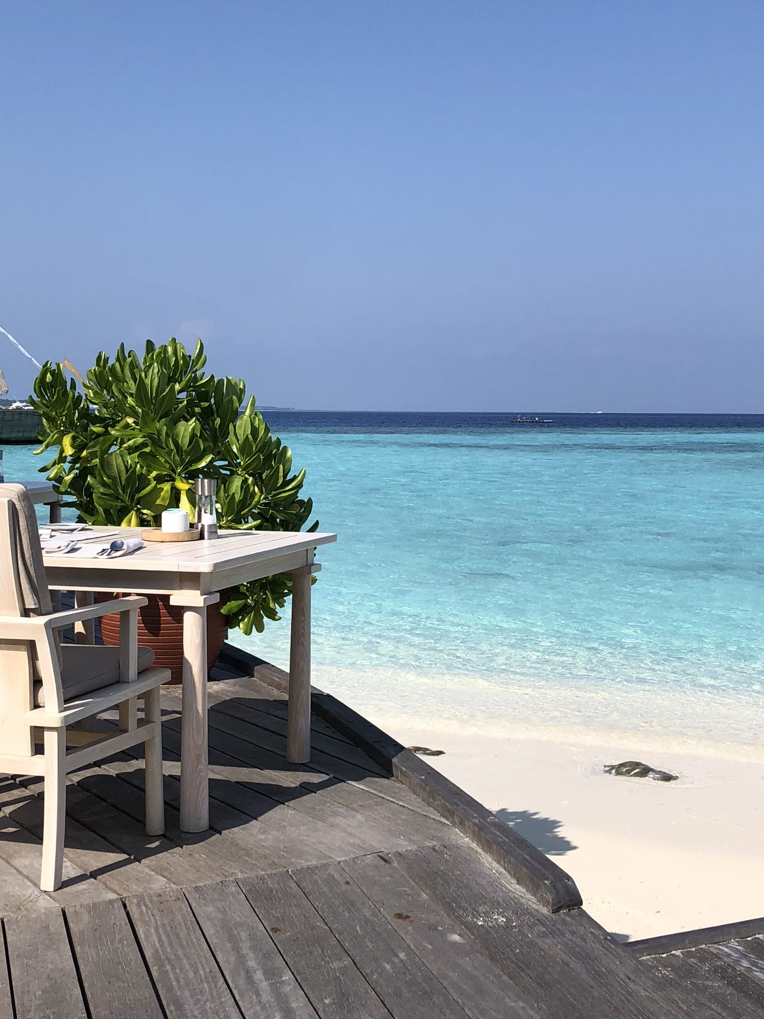 Breakfast with a view Dining view of the beach and sea at a Maldives resort