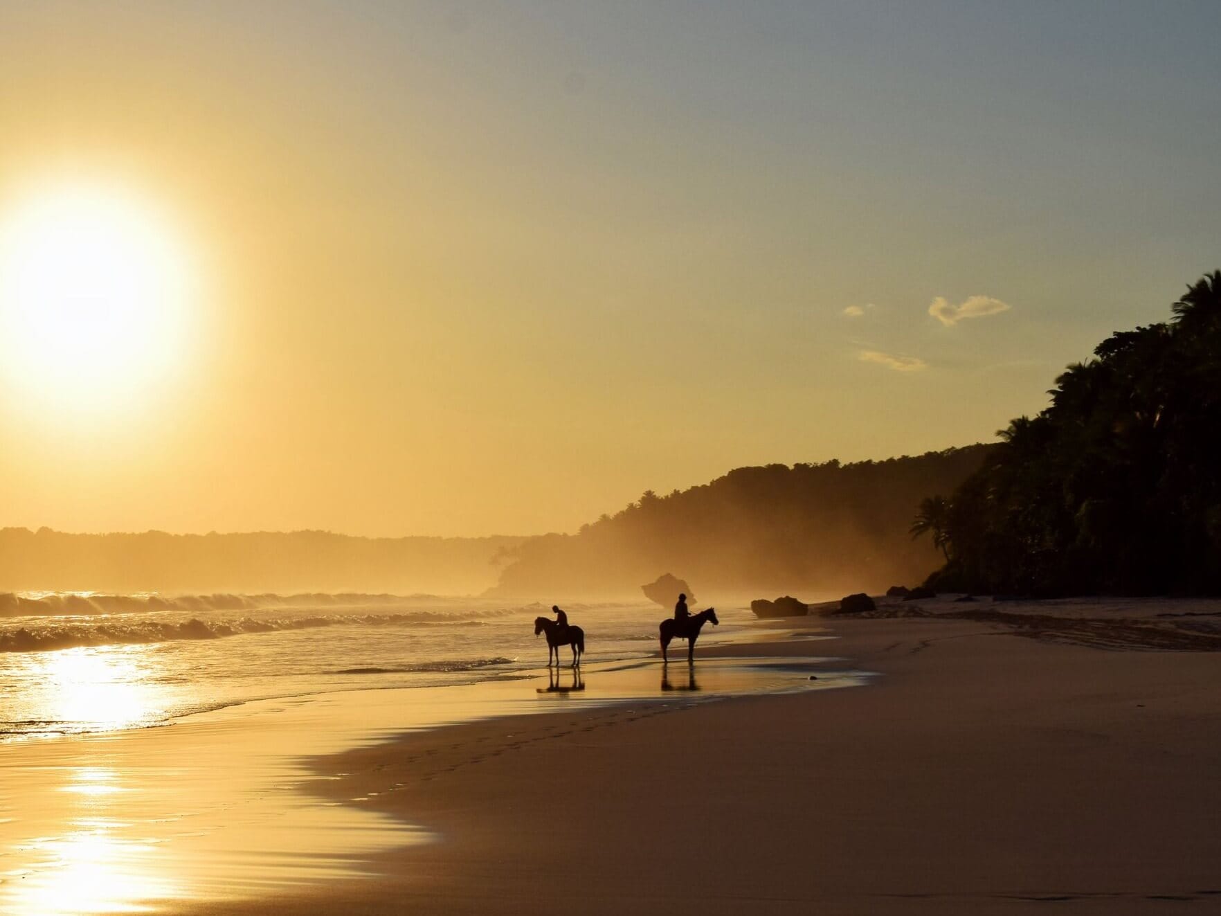Nihi Sumba sunset horses Silhouette of horses on the beach at sunset in Nihi Sumba