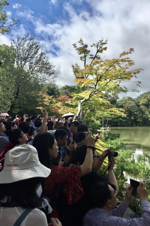 Everyone trying to take a photo in Japan Overtourism in Japan