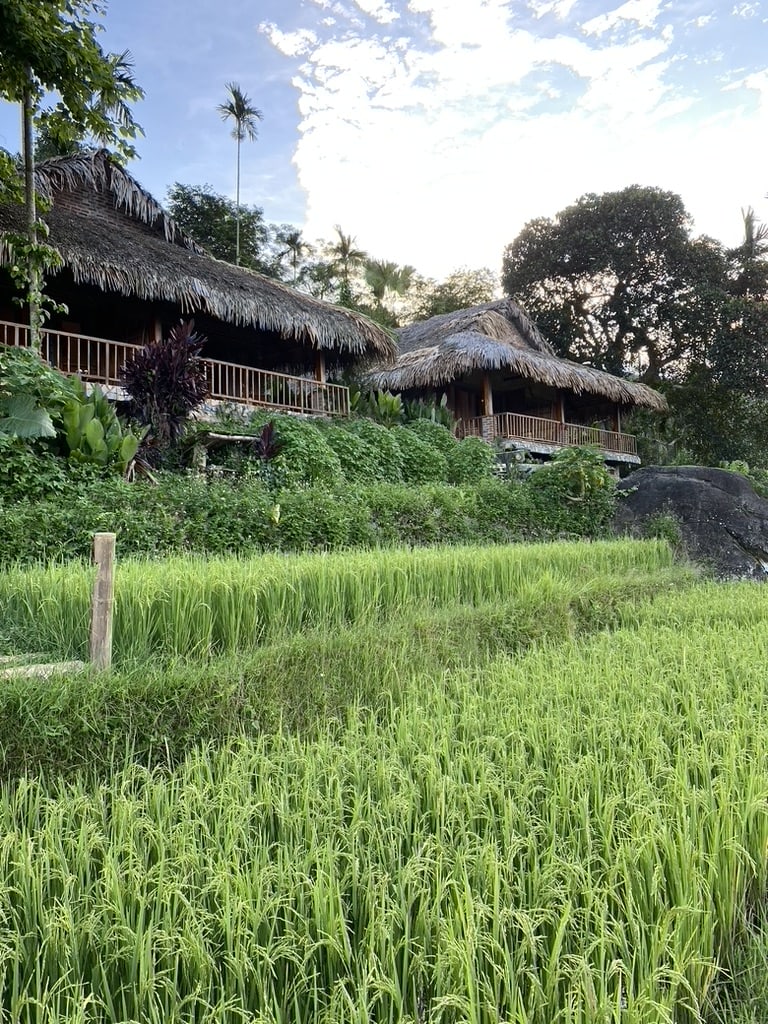 Puluong Retreat in Vietnam Puluong Retreat in Vietnam