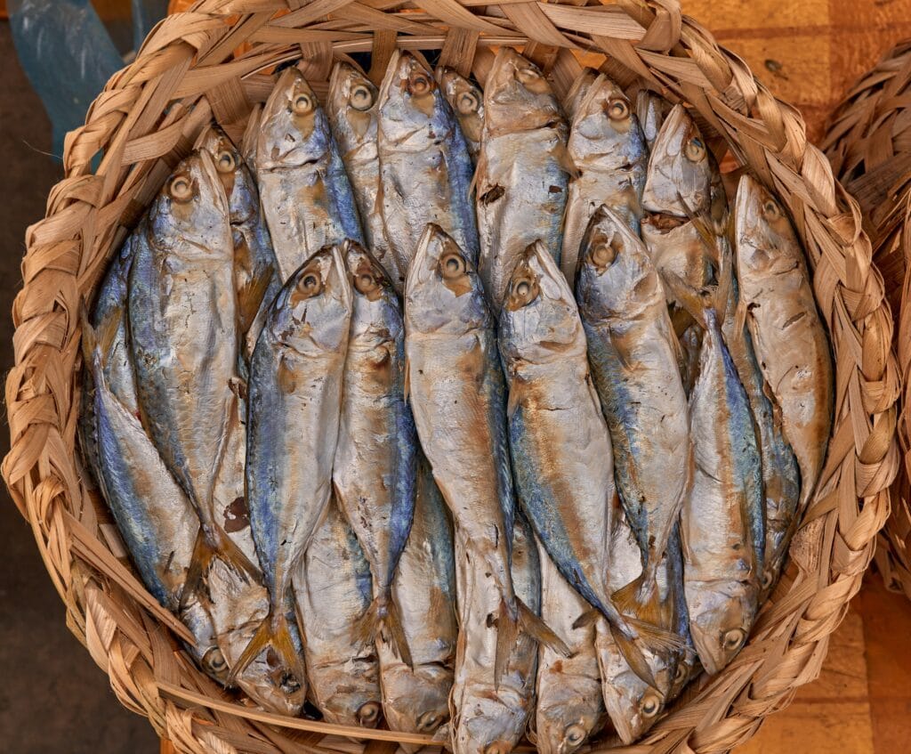 Fish in a basket in a food market in Phnom Penh, Cambodia Fish in a basket in a food market in Phnom Penh, Cambodia