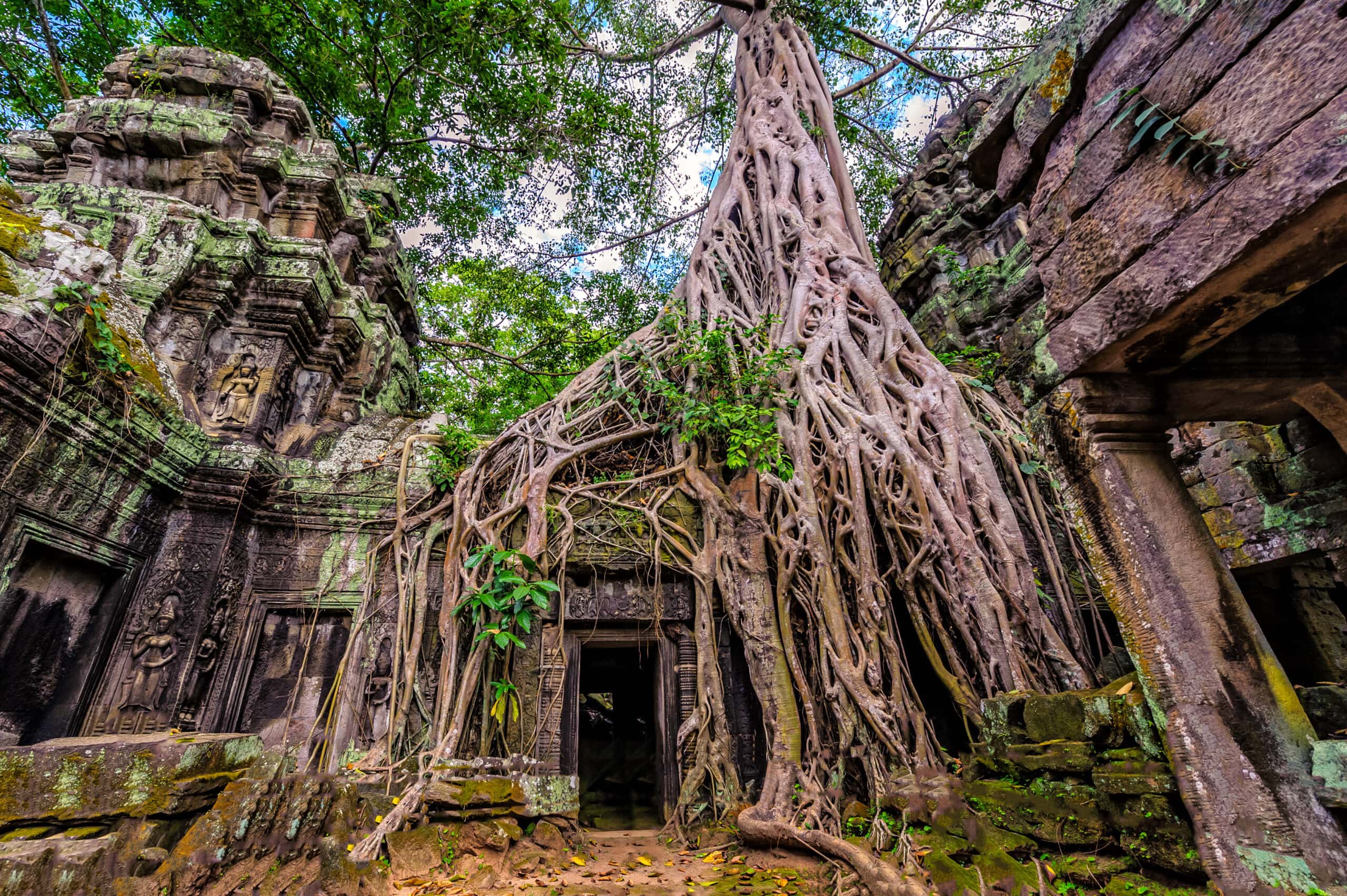 Ta Prohm Temple Ruins Ta Prohm Temple Ruins
