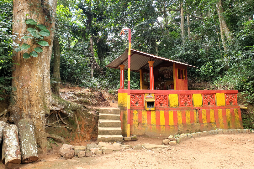 Thushni Pekoe Trail