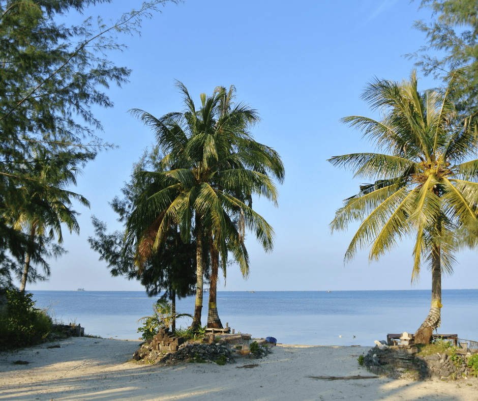 Beaches 2 Palm trees on Tikora Beach in Indonesia