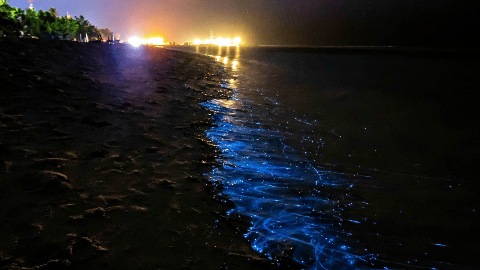 Long exposure shot of bioluminescent shoreline on a beach in the Maldives Long exposure shot of bioluminescent shoreline on a beach in the Maldives
