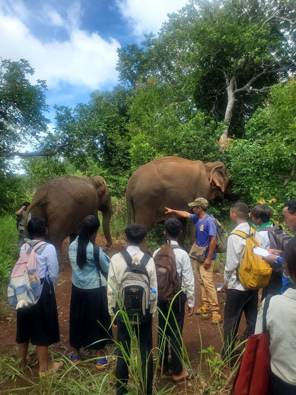 Cambodia trip A group of children learning about elephants at elephant valley project in Cambodia