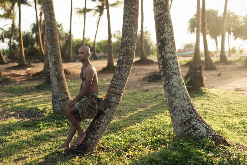 etg - sri lanka - tp toddy tapper (7) a sri lankan toddy tapper rests against a tree in the setting sun