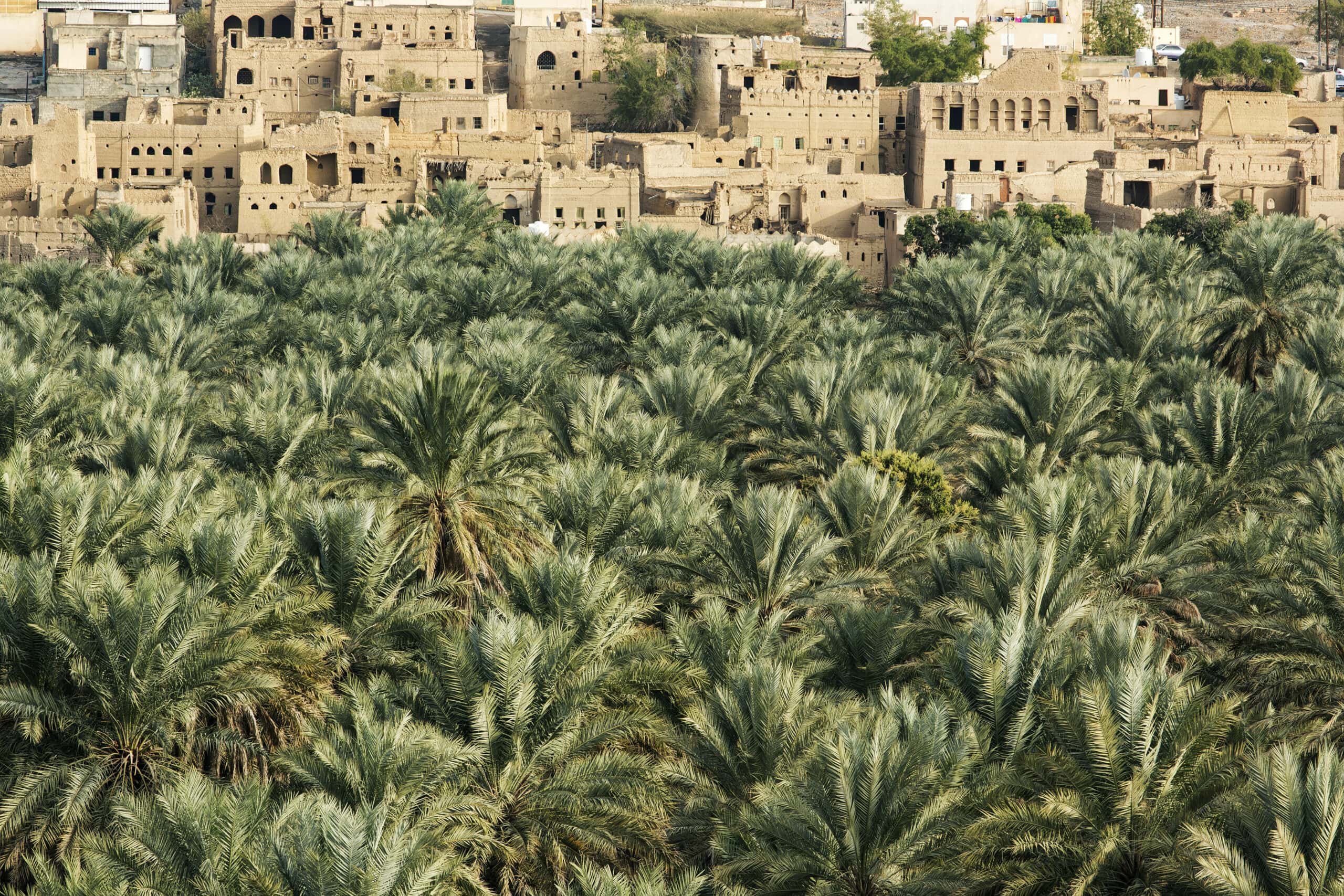 OMAN ETG (20)