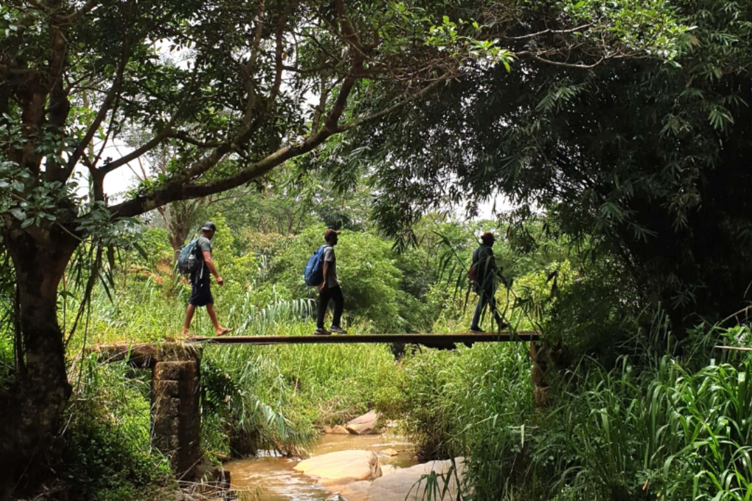 Pekoe trail adventure just off the Ella Odyssey line