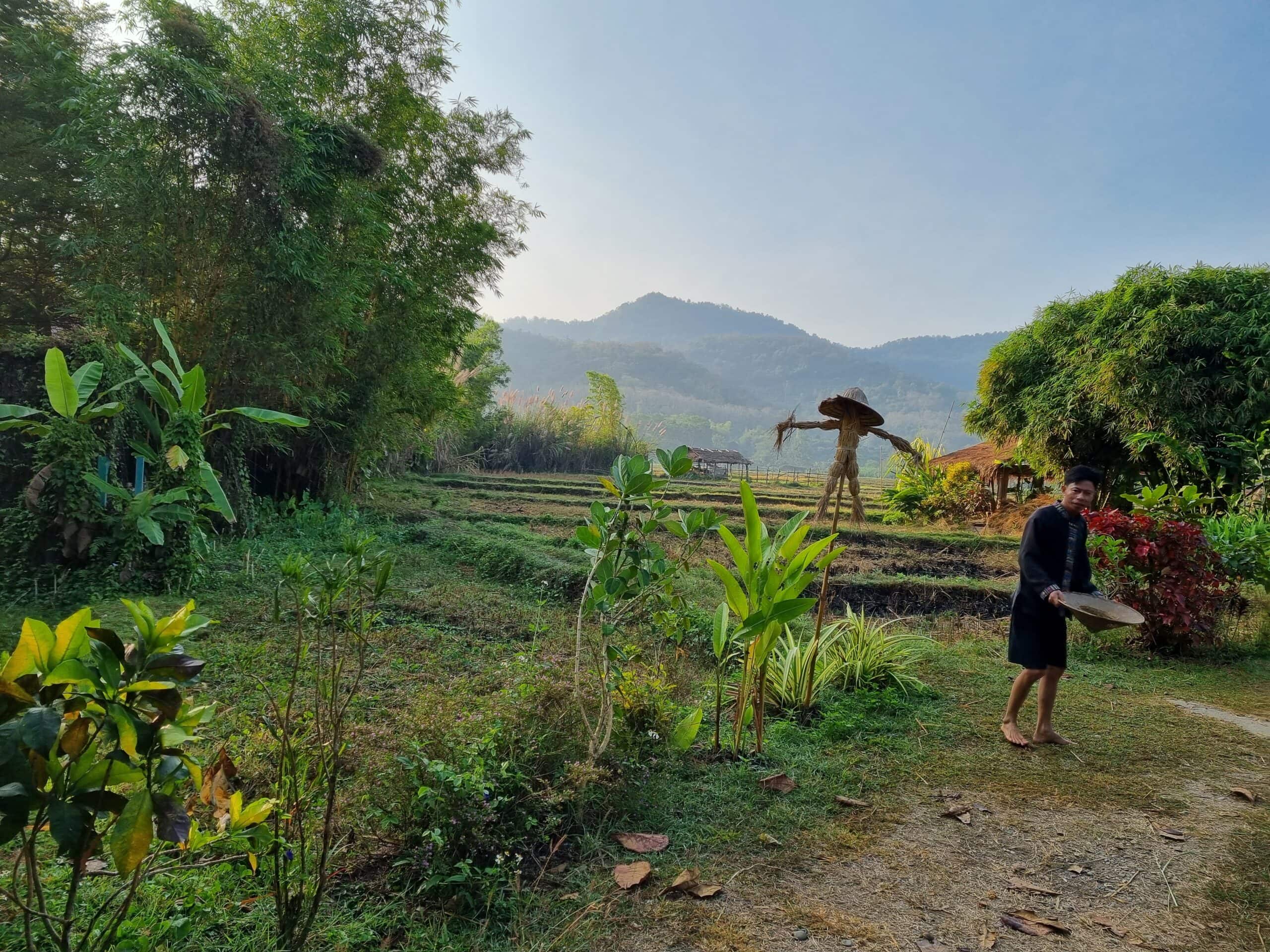 Living land laos give back A photo of landscape at the Living Land experience in Laos