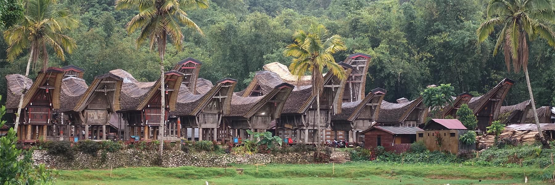 Contrasts of Sulawesi, Bali & Lombok