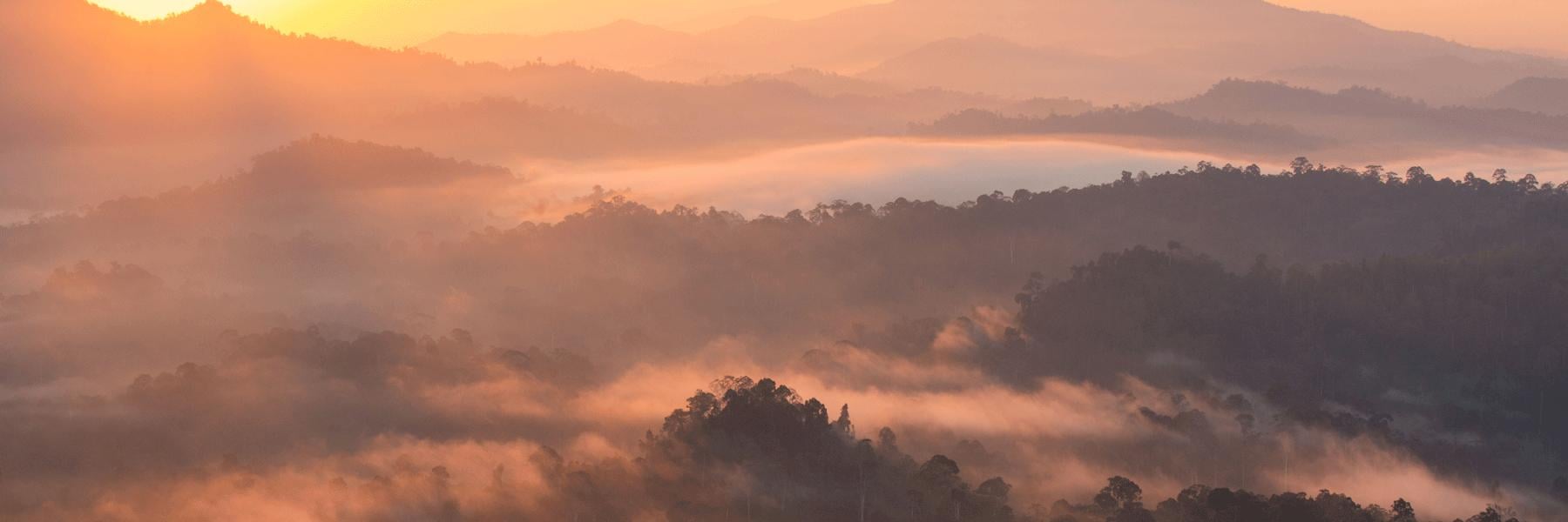 In Depth Borneo Adventure 