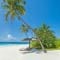 Milaidhoo - Beach villa