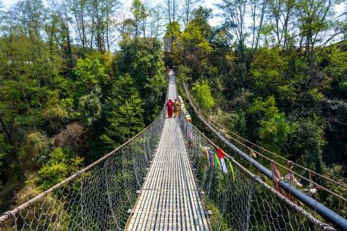 Walking & Wellness in the Himalayas