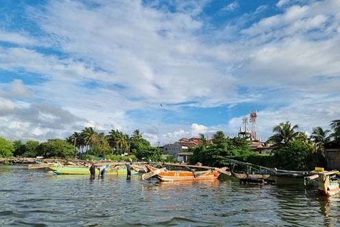 Lagoon Safari