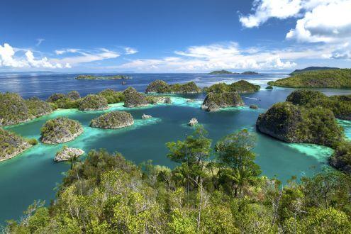 From Java to Raja Ampat:  an Indonesian Extravaganza
