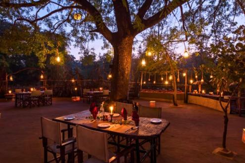 Reni Pani Jungle Lodge