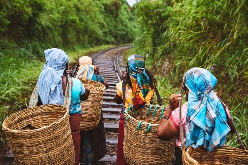 The Spirit of Sri Lanka