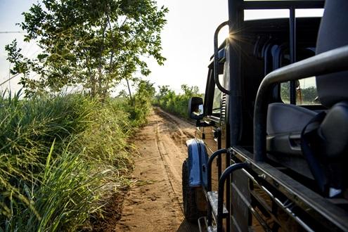 Jeep Safari & Park Walk at Gal Oya Lodge