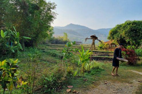Living Land Companys Rice Farm Experience
